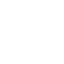 Snapshot Icon